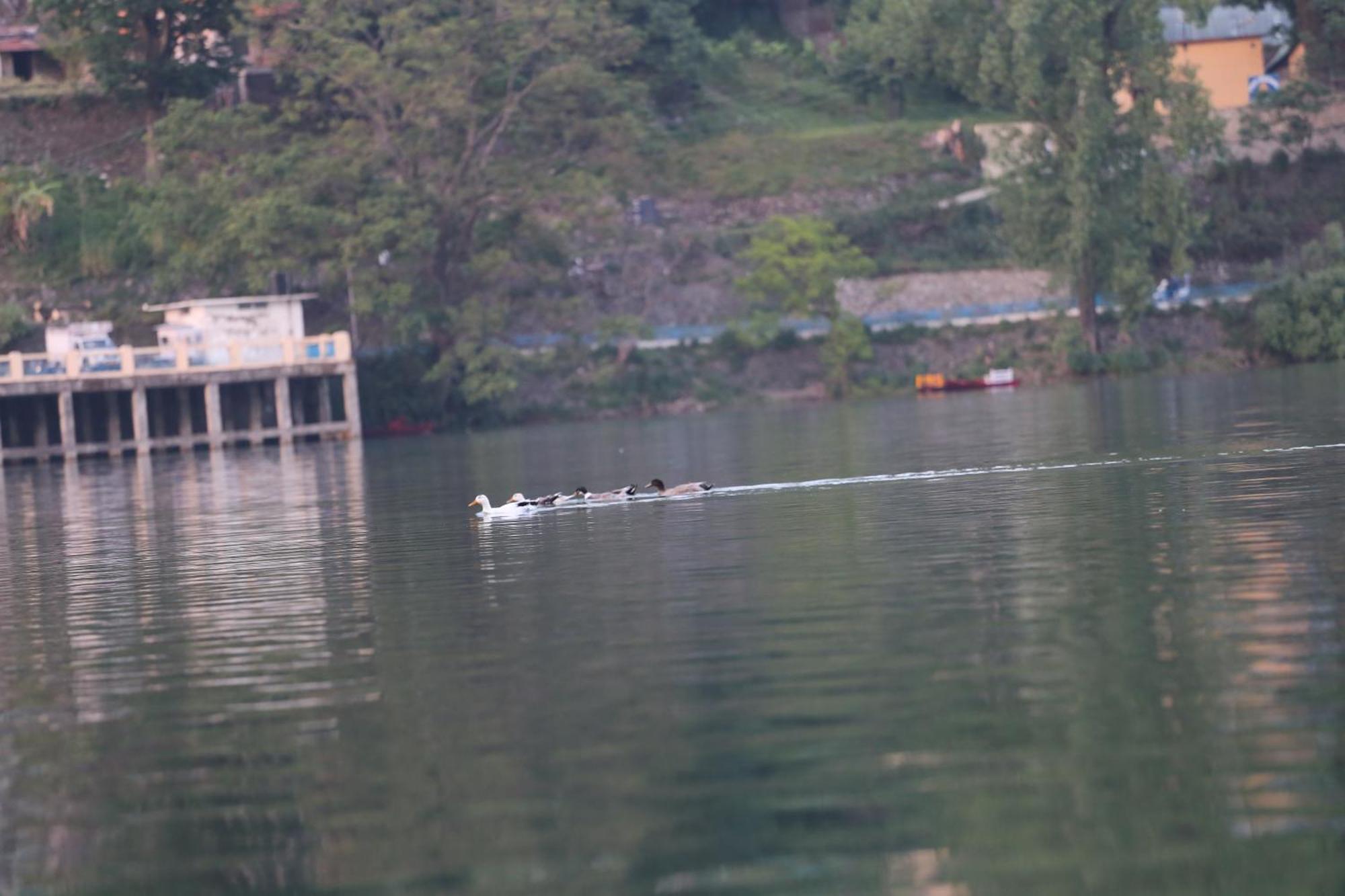 Royal Rosette Lake View Bhimtal Nainital Exterior foto