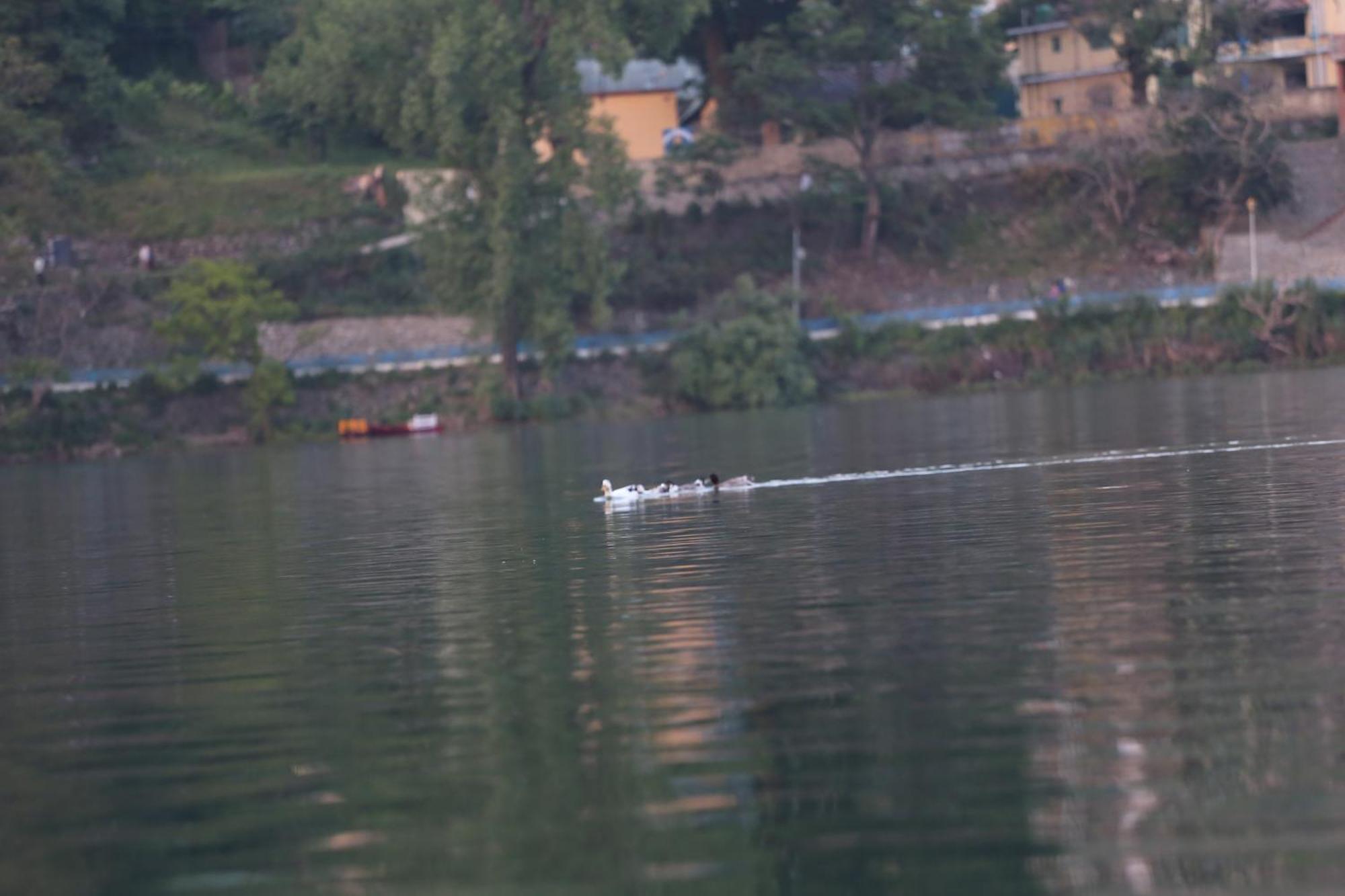 Royal Rosette Lake View Bhimtal Nainital Exterior foto